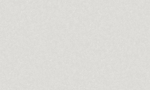 Обои вспененный винил на флизе 0323-21 11СБЗ Артур-фон Белвинил 1,06*10,05 м / 9