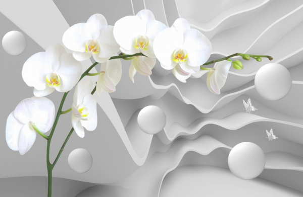 3D Фотообои GM-026 «Белая орхидея на объемном фоне» 320x250 см песок