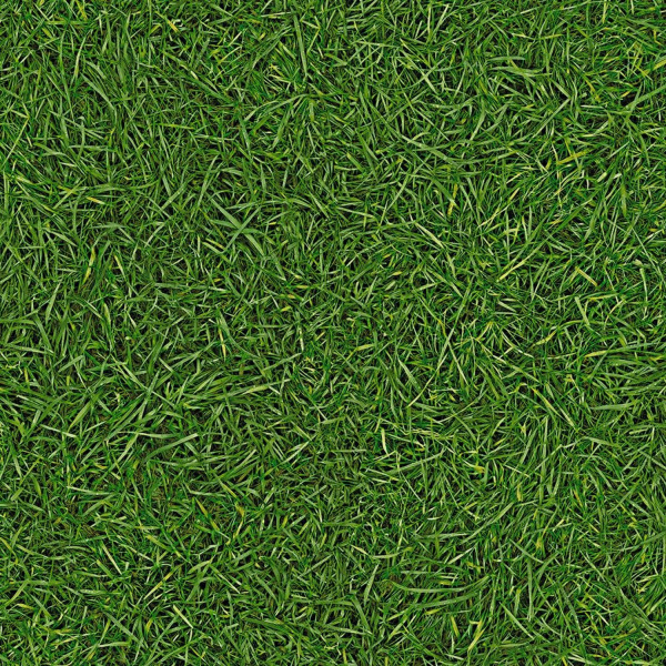Линолеум ширина 3,0 м. IVC NEO Grass 25