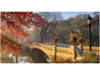 Фотообои на флиз.осн. 13-0294-PE (1,3м*2,5м) Осенний сад "DECOCODE" Р