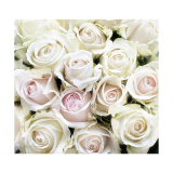 Фотообои на флиз.осн. 31-0412-FE (3м*2,8м) Белые розы "DECOCODE" Р